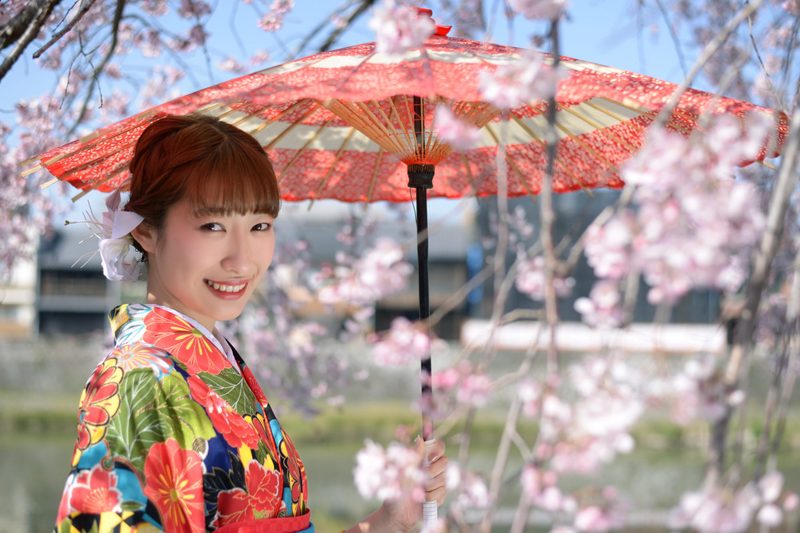春限定桜ロケーション 七五三